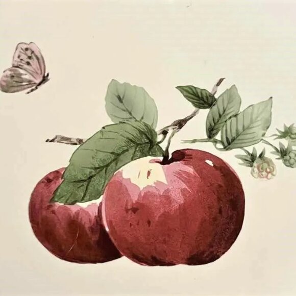 Pfaltzgraff Delicious | Set of Serving Trays | Nesting Platters - Picture 7 of 12